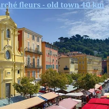 Citron Theoule-sur-Mer